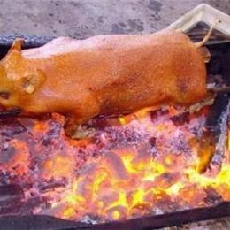 麻皮乳豬培訓(xùn)